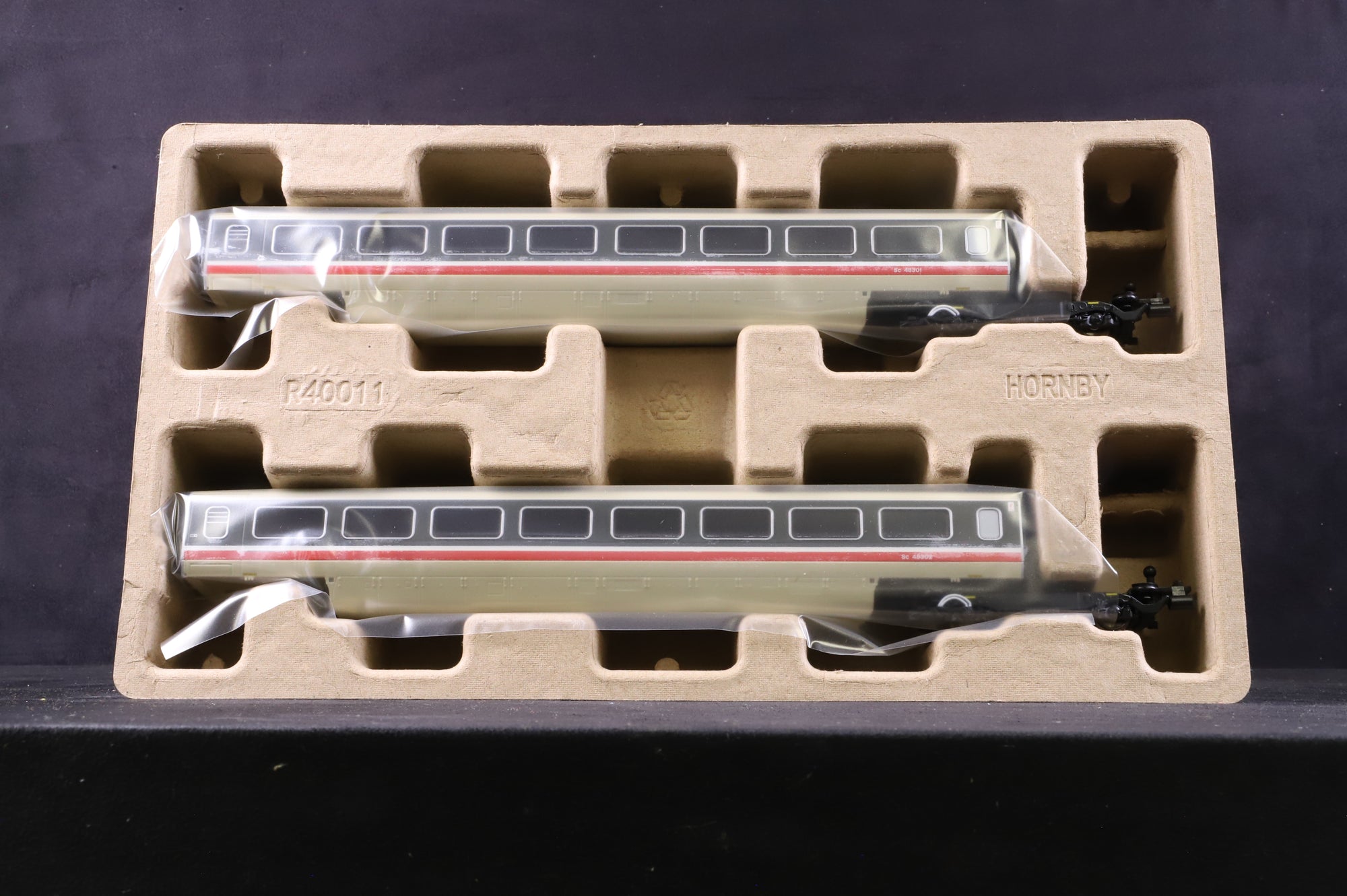 Hornby OO R40013A BR Class 370 Advanced Passenger Train 2-Car TU Coach Pack, '48301' & '48302'