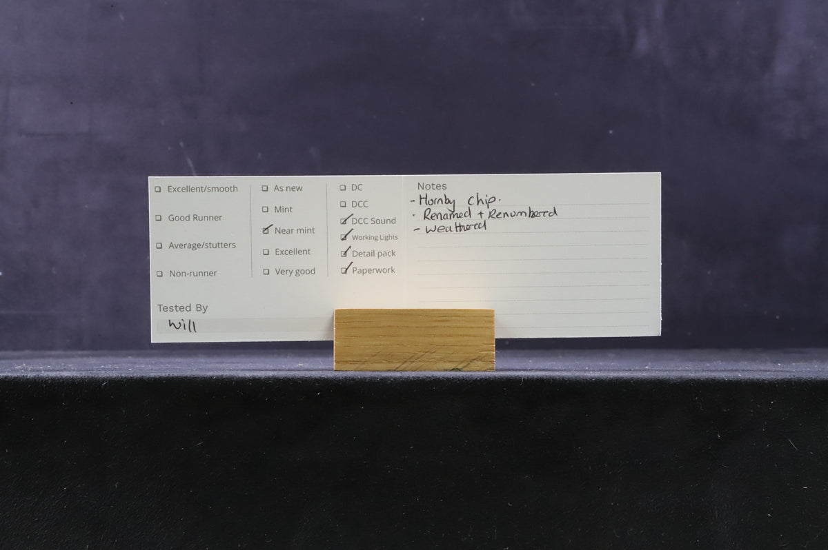 Hornby OO R3885 Class 60 60024 &#39;Clitheroe Castle&#39; in DB Livery - DCC Sound &amp; Weathered