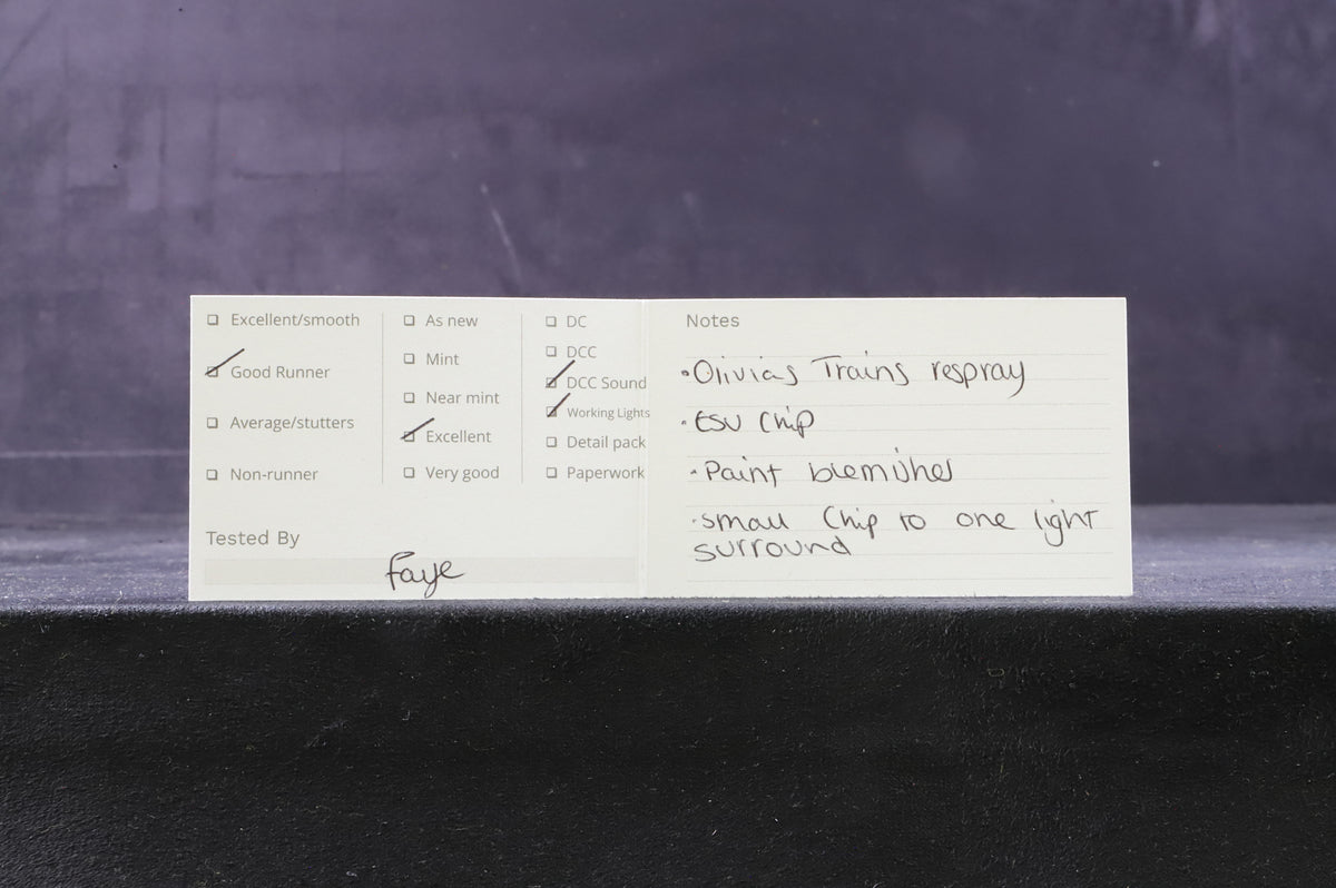 Hornby OO Class 101 Network Rail Livery Olivias Trains Respray DCC Sound