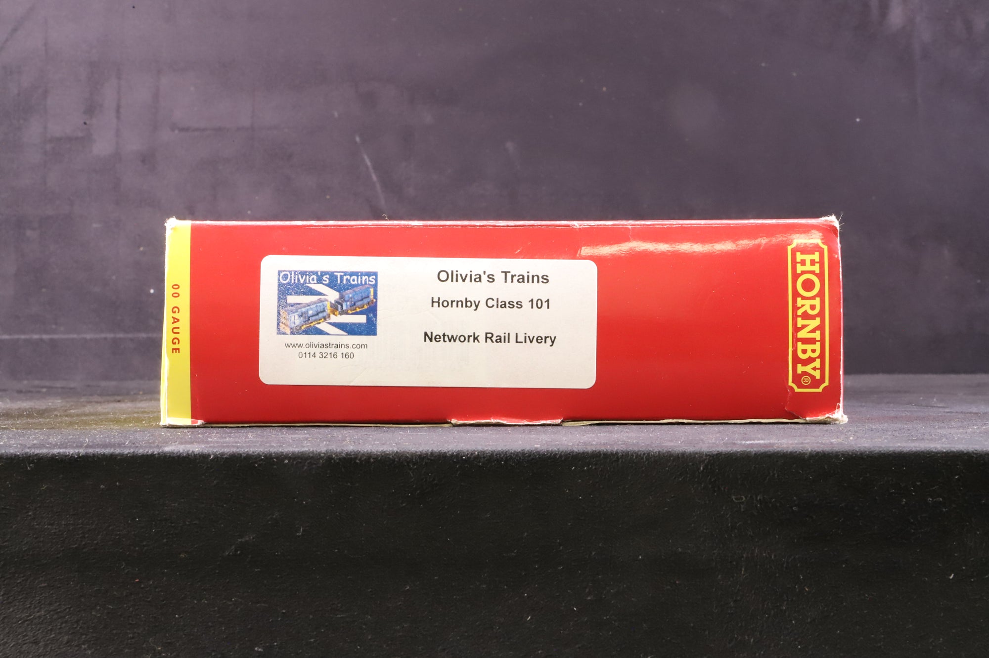 Hornby OO Class 101 Network Rail Livery Olivias Trains Respray DCC Sound