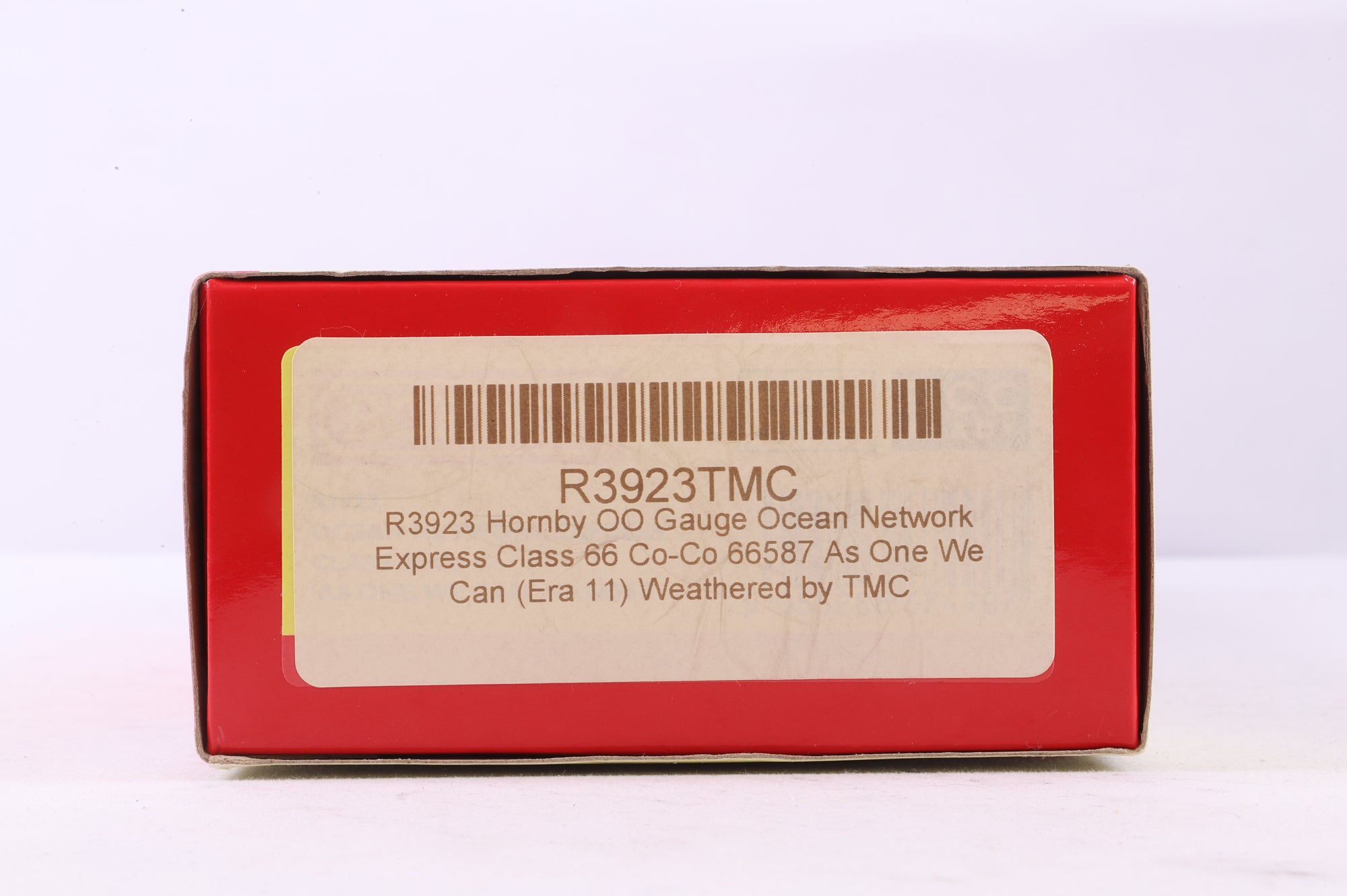 Hornby OO R3923 Ocean Network Express Class 66 Co-Co 'As One, We Can' '66587', DCC Fitted, Weathered