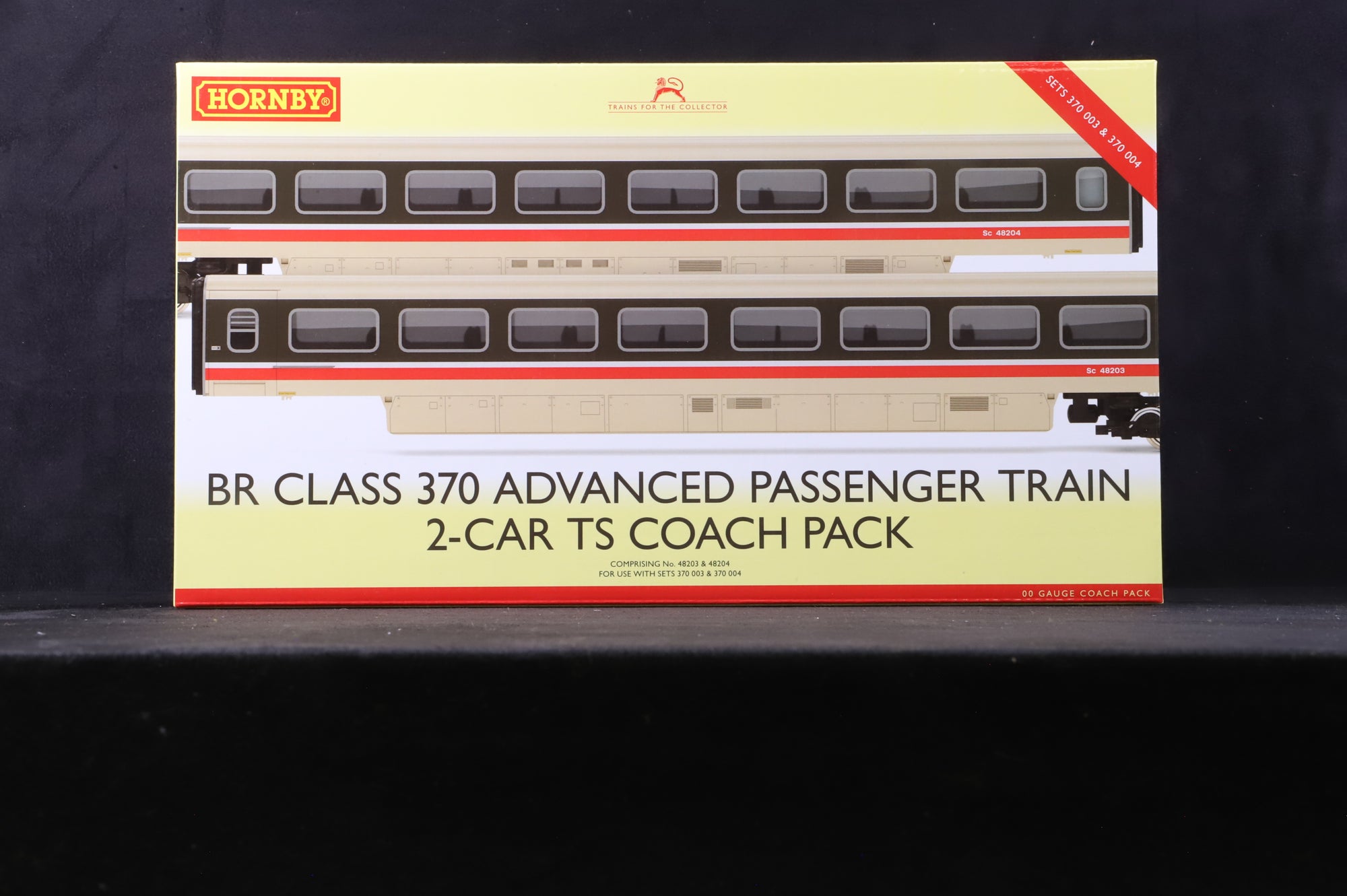Hornby OO R40011 BR Class 370 Advanced Passenger Train 2-Car TS Coach Pack, '48203' & '48204'