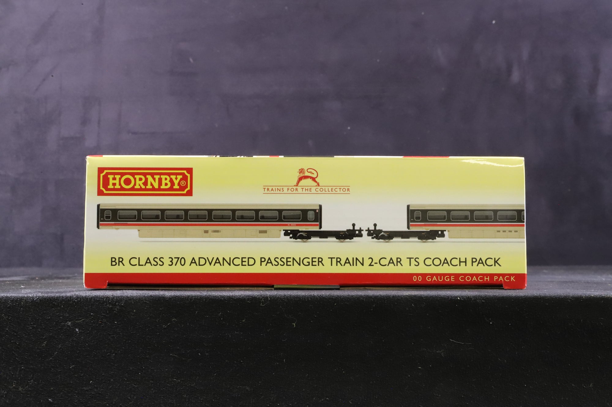 Hornby OO R40011 BR Class 370 Advanced Passenger Train 2-Car TS Coach Pack, '48203' & '48204'