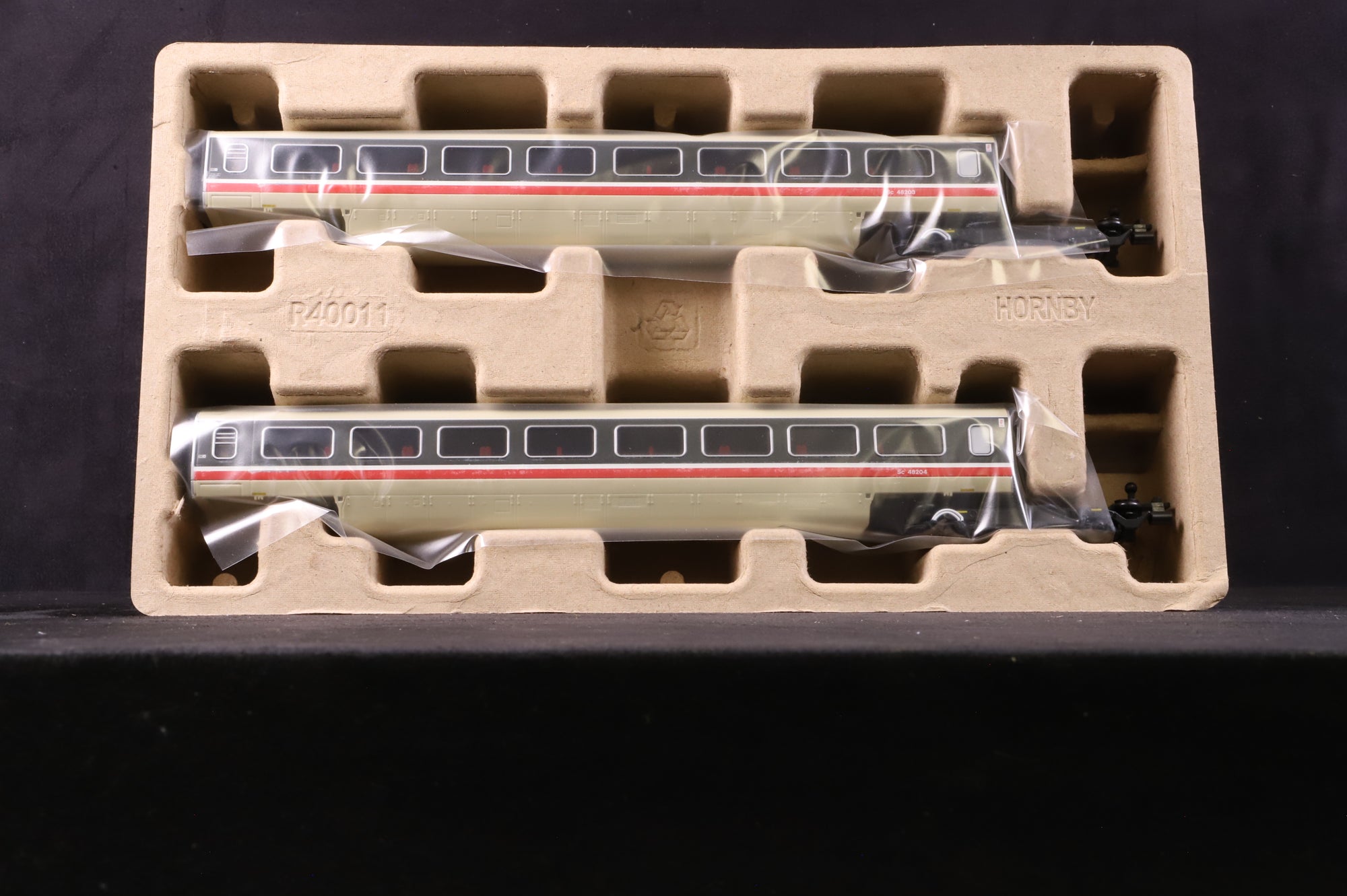Hornby OO R40011 BR Class 370 Advanced Passenger Train 2-Car TS Coach Pack, '48203' & '48204'