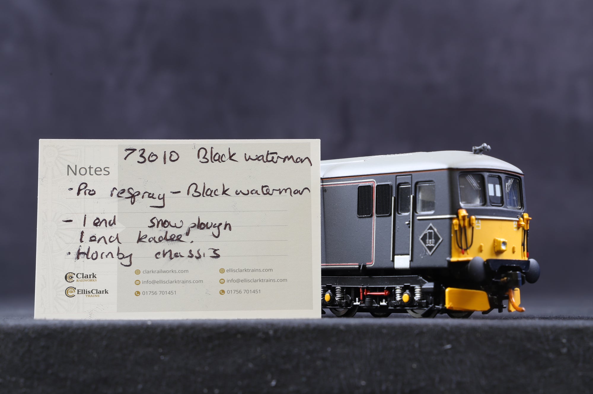 Hornby OO Class 73 '73010' Waterman Railways 'Burma Star'